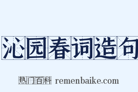 沁园春词造句是什么意思的图片